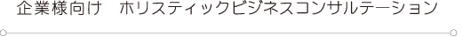 企業様向けホリスティックビジネスコンサルテーションタイトル